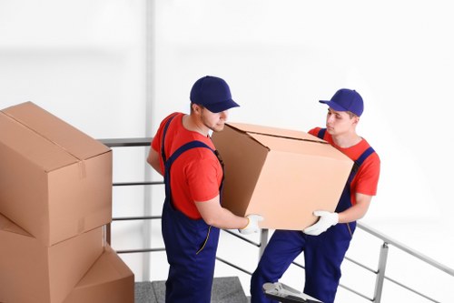 Structured assessment of a removals complaint during investigation