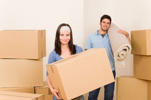 Thehyde Removals workers using PPE while moving heavy belongings